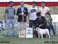 IPM (199)