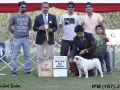 IPM (201)