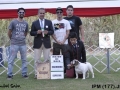 IPM (211)