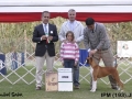 IPM (227)