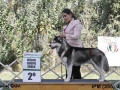 IPM (389)
