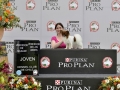 PDD (194)_preview