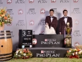 PDD (323)_preview