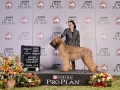 PDD (327)_preview