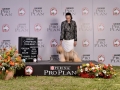 PDD (334)_preview