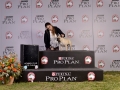 PDD (351)_preview
