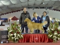 DSC3698_preview