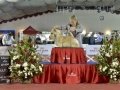 DSC3706_preview