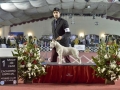 DSC4440_preview