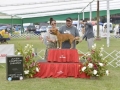 DSC3144_preview