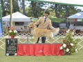 DSC3166_preview