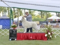 DSC3998_preview