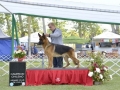 DSC4015_preview