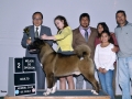 IPO (395)