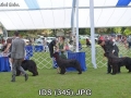 IDS (345)