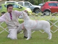 IDS (552)