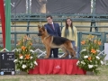 DSC7003_preview