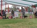 FGD-361_preview