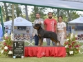 DSC0183_preview