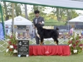 DSC0299_preview