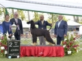 DSC0444_preview