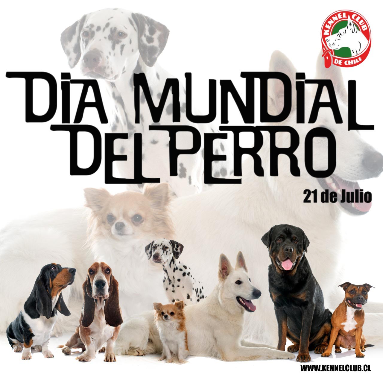 DIA MUNDIAL DEL PERRO. 21 DE JULIO. Kennel Club de Chile