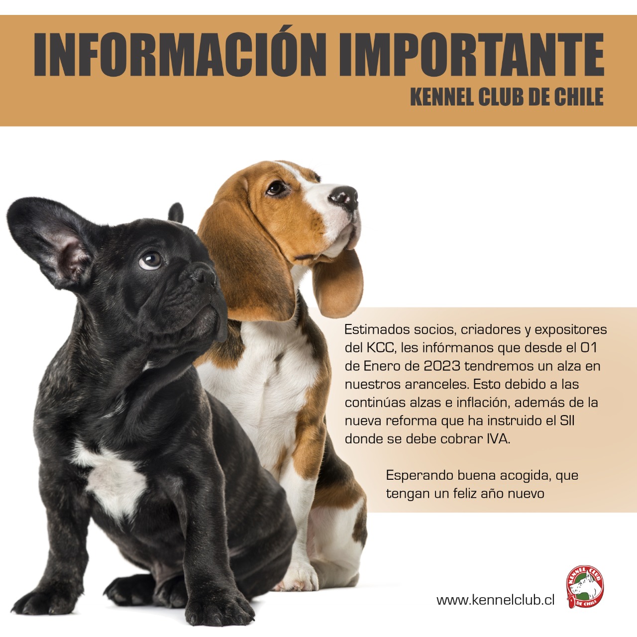 INFORMACION IMPORTANTE, KENNEL CLUB DE CHILE.