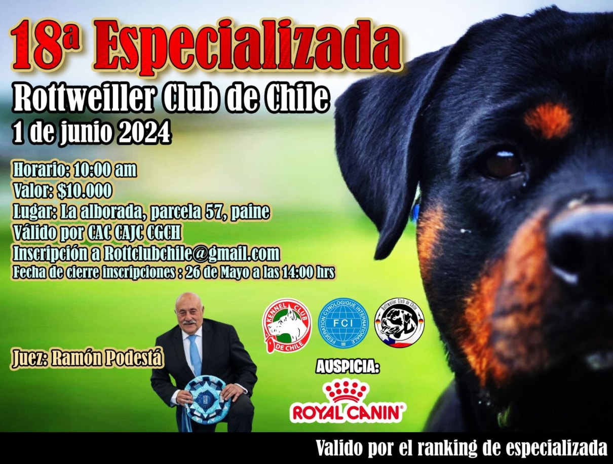 18° ESPECIALIZADA ROTTWEILLER CLUB DE CHILE, 01_06_2024. JUEZ SR. RAMON PODESTA.