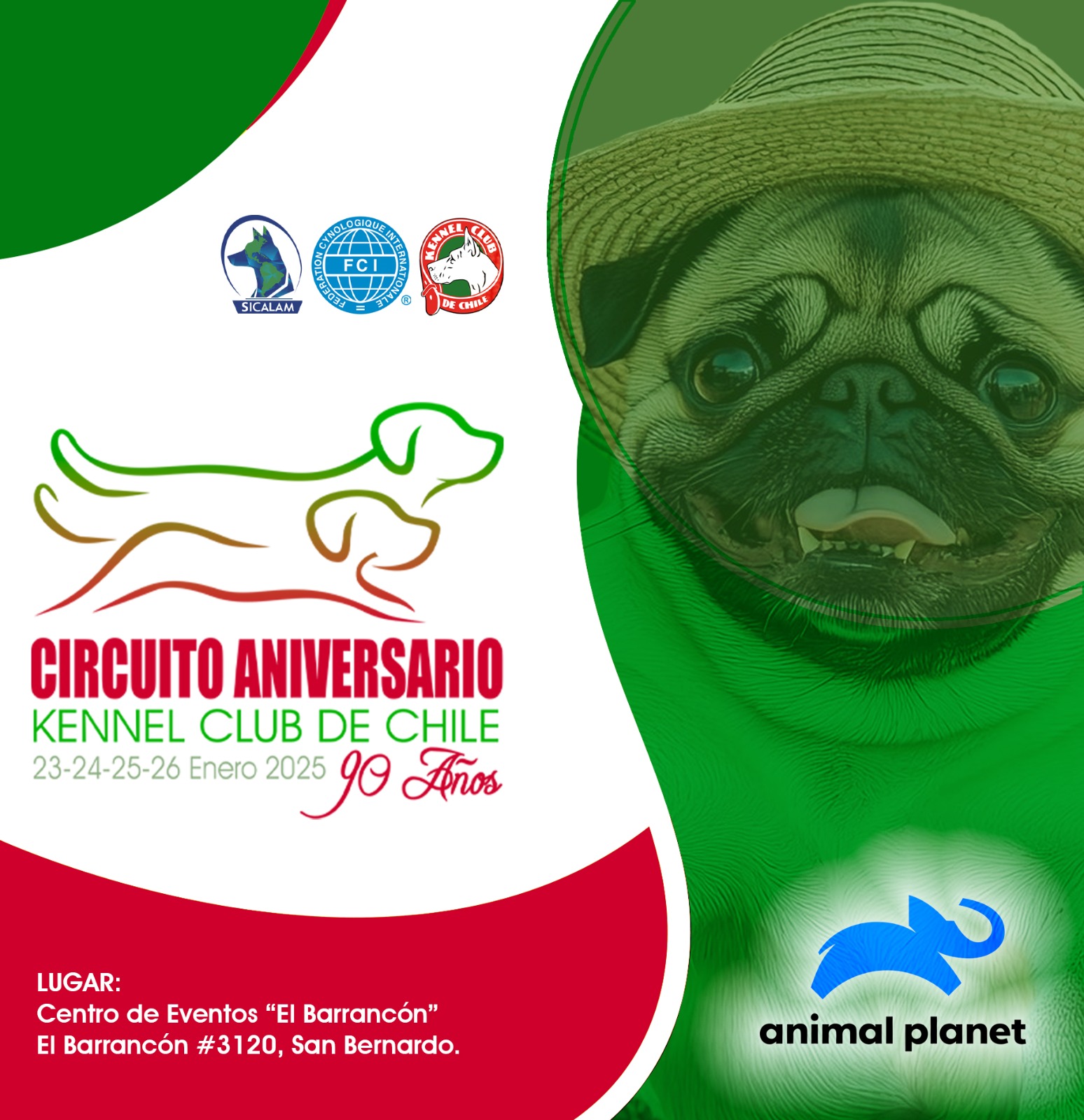 INFORMATIVO EXPOSICIONES  23, 24, 25 y 26 DE ENERO DEL 2025 “CIRCUITO INTERNACIONAL ANIVERSARIO 90 AÑOS KENNEL CLUB DE CHILE”