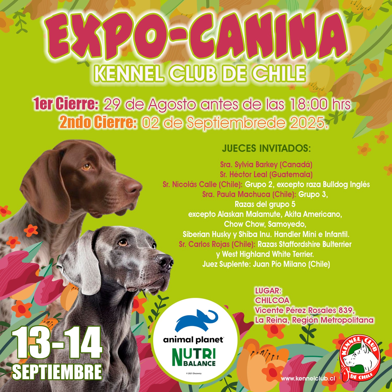 INFORMATIVO EXPOSICIONES 13 y 14 DE SEPTIEMBRE DE 2025