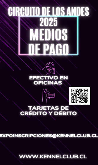 MEDIOS DE PAGO COPA DE LOS ANDES 2025.