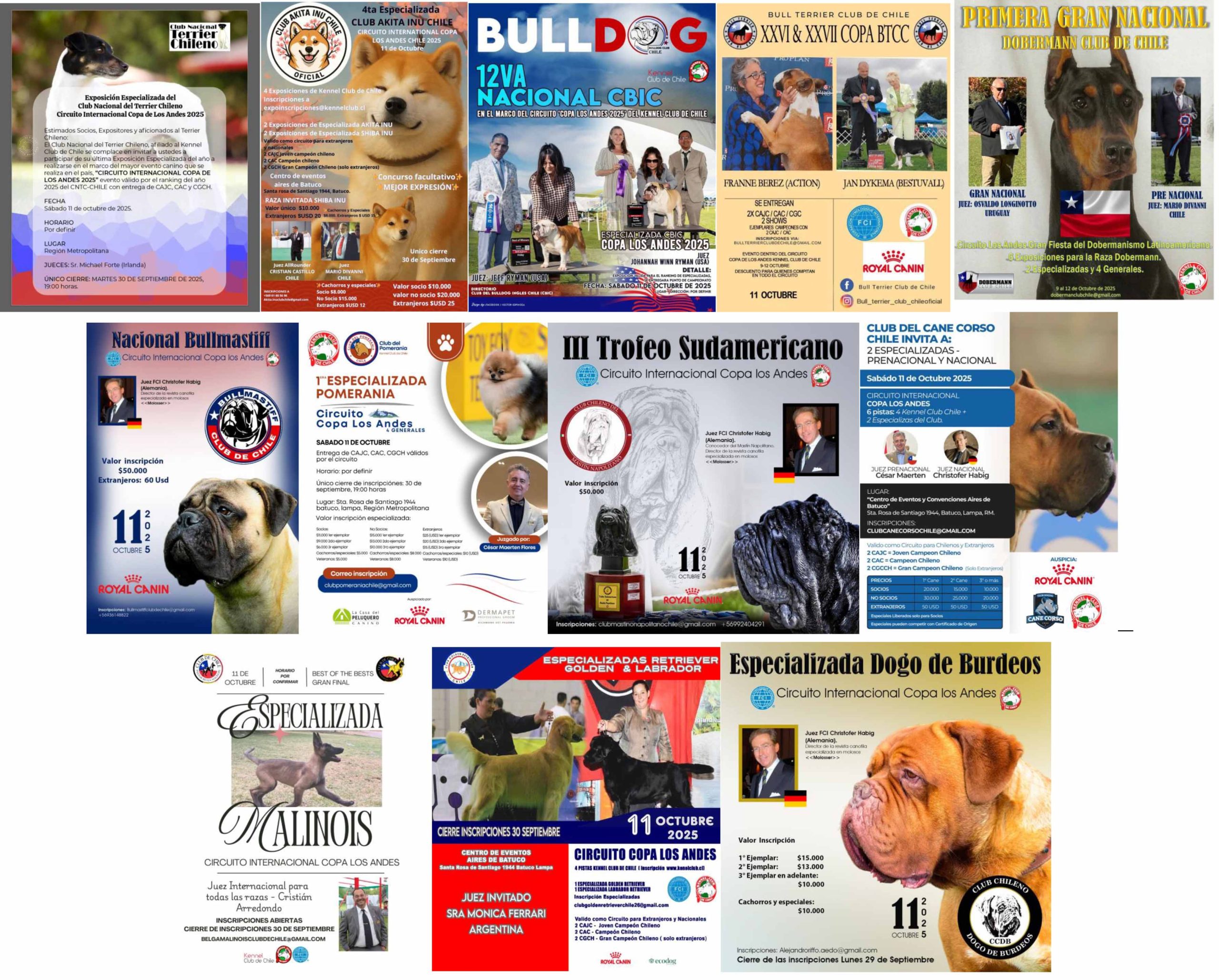ESPECIALIZADAS KENNEL CLUB DE CHILE, OCTUBRE 2025.