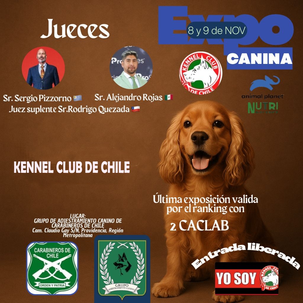 INFORMATIVO EXPOSICIONES 08 y 09 DE NOVIEMBRE DE 2025