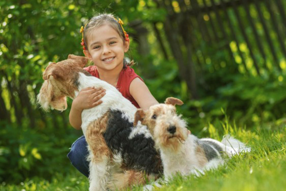 INFORMATIVO EXPOSICIONES 11 y 12 DE ABRIL DE 2026